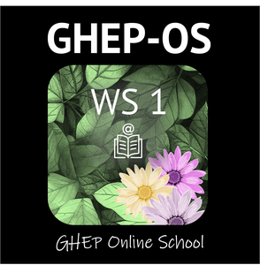 Ghep-OS-WS1-Spring