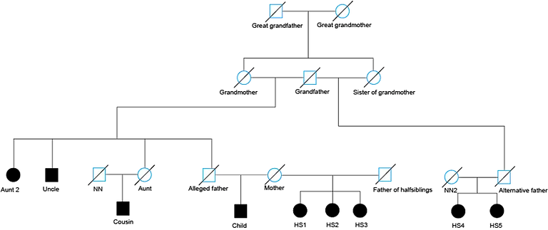 Familias example pedigree