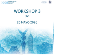 dvi workshop 2026